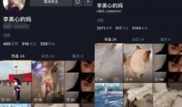 爆料不露脸的视频软件叫什么,揭秘“XX”的神秘面纱