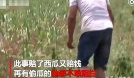 网红陈妮妮吃瓜事件,揭秘网红圈内的真实风波