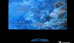 蓝光3d在线观看,在线观看体验全解析