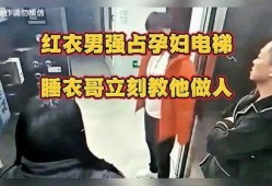 电梯红衣在线观看,揭秘神秘红衣女子与电梯的惊悚邂逅