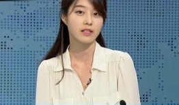 韩国新闻主播爆料,揭秘幕后的惊人真相