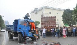 重庆货车司机最新爆料,揭秘货运行业困境与挑战