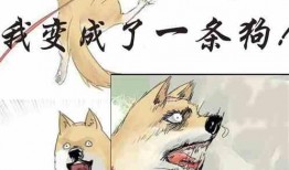 吃瓜男子小说免费阅读,揭秘娱乐圈背后的秘密