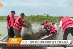 沅江新闻爆料网最新消息,最新爆料揭示惊人内幕！