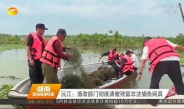 沅江新闻爆料网最新消息,最新爆料揭示惊人内幕！