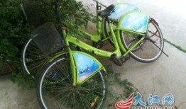 公共自行车爆料视频下载,揭秘共享单车背后的真相