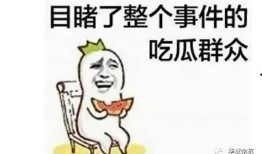 给吃瓜群众免费看,吃瓜群众共享视觉盛宴