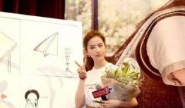 刘岩爆料刘亦菲了吗视频,视频爆料背后的惊人内幕