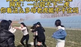 刘老师爆料麦田视频大全,麦田视频大全背后的惊人真相