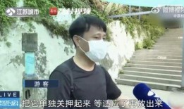 吃瓜网红父女,揭秘娱乐圈背后的温馨故事