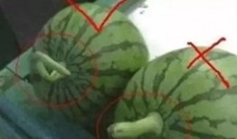 吃瓜网红有哪些名字,揭秘吃瓜网红的别样人生