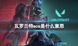 瓦洛兰特皮肤爆料最新版下载,下载体验独特视觉盛宴
