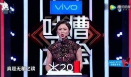 马大姐爆料沈猛视频,一场娱乐圈的悬疑大剧