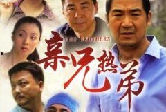 亲兄热弟在线观看,兄弟情深，共度人生风雨