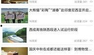 最新人文爆料,人文领域最新爆料，探寻历史与现实的交织