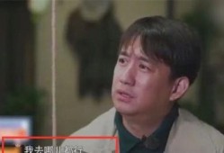 小天后爆料黄磊视频合集,小天后爆料视频合集，精彩瞬间大盘点