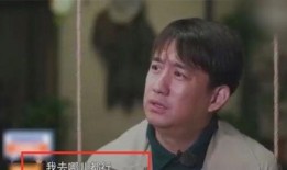 小天后爆料黄磊视频合集,小天后爆料视频合集，精彩瞬间大盘点
