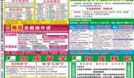 青岛新闻爆料投稿平台,聚焦城市脉搏，共筑美好家园