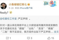 微博爆料任嘉伦事件视频,真相与争议并存，网友热议不断