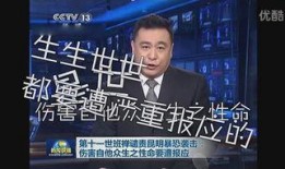 原神爆料央视新闻视频在线观看,揭秘游戏幕后制作与最新爆料