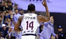 哈德森视频爆料大韩网站,大韩网站内幕曝光