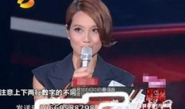 浙江卫视爆料人被打视频,真相与争议