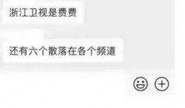 浙江卫视爆料人被打视频,真相与争议