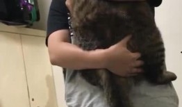 网友爆料猫爪丝袜视频,时尚还是另类？