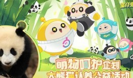 蛋仔熊猫面具爆料视频下载,神秘面具背后的故事与设计灵感