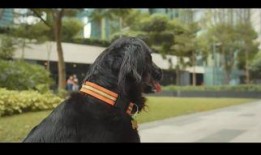 小七最新爆料新闻视频