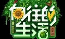 娱乐爆料动画视频大全,揭秘热门娱乐爆料视频大全