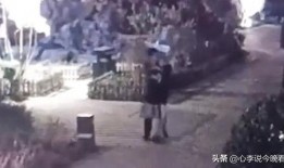 兰州老街爆料最新视频,最新视频揭秘老街蜕变与传承