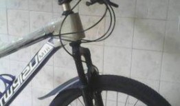 玉林自行车爆料最新消息,行业动态揭秘，市场格局再起波澜