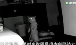 富江最新爆料新闻