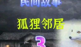 民间故事爆料视频大全集,视频大全集深度解析