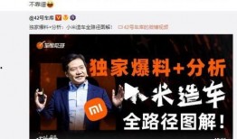 知识类爆料视频,探索未知领域的秘密