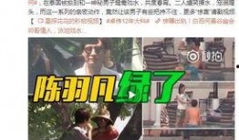 事件爆料动画视频下载,动画视频下载背后的真相
