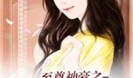 娱乐吃瓜酱搬运小说,揭秘小说背后的精彩故事